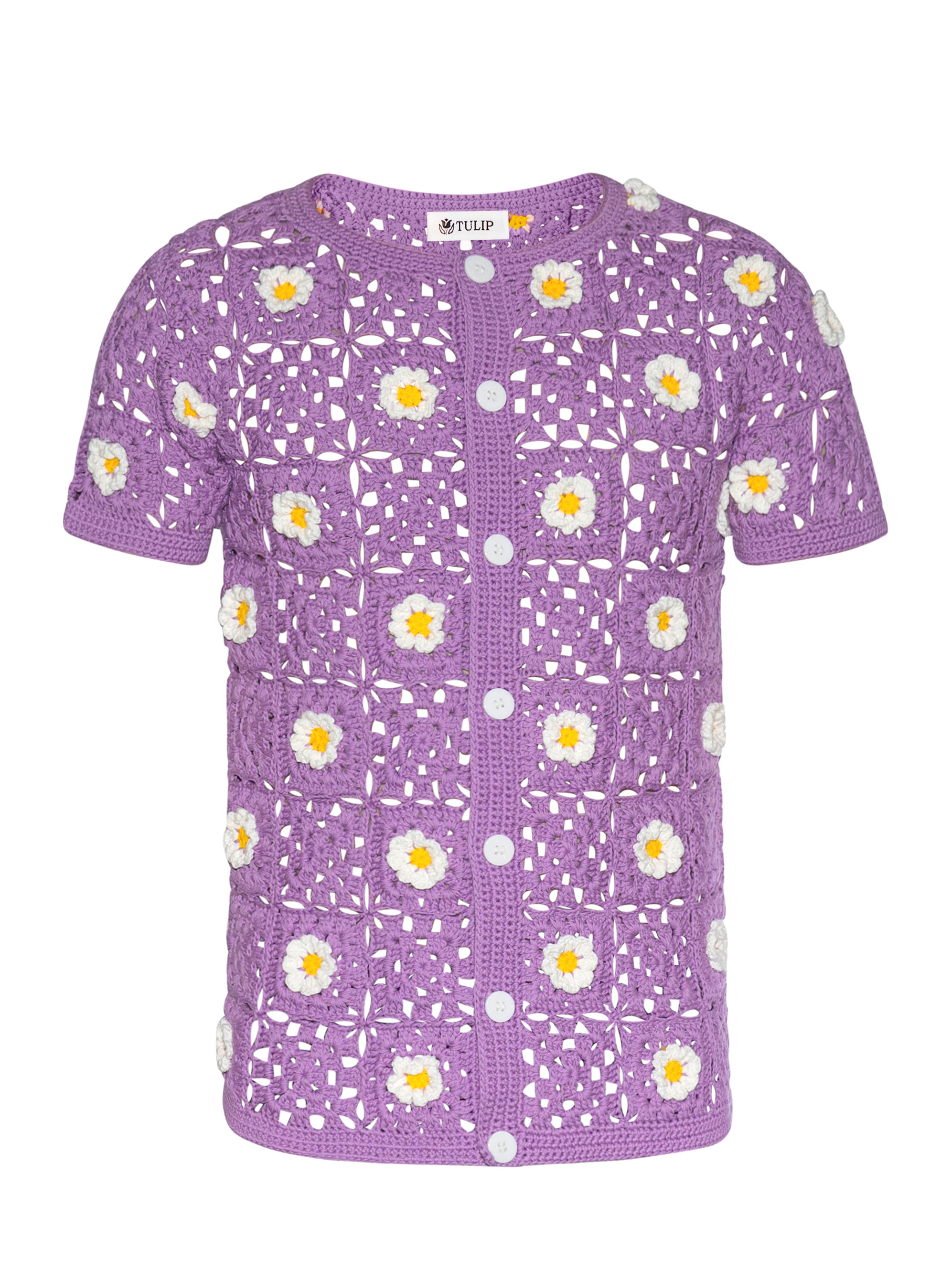 Lavender Daisy