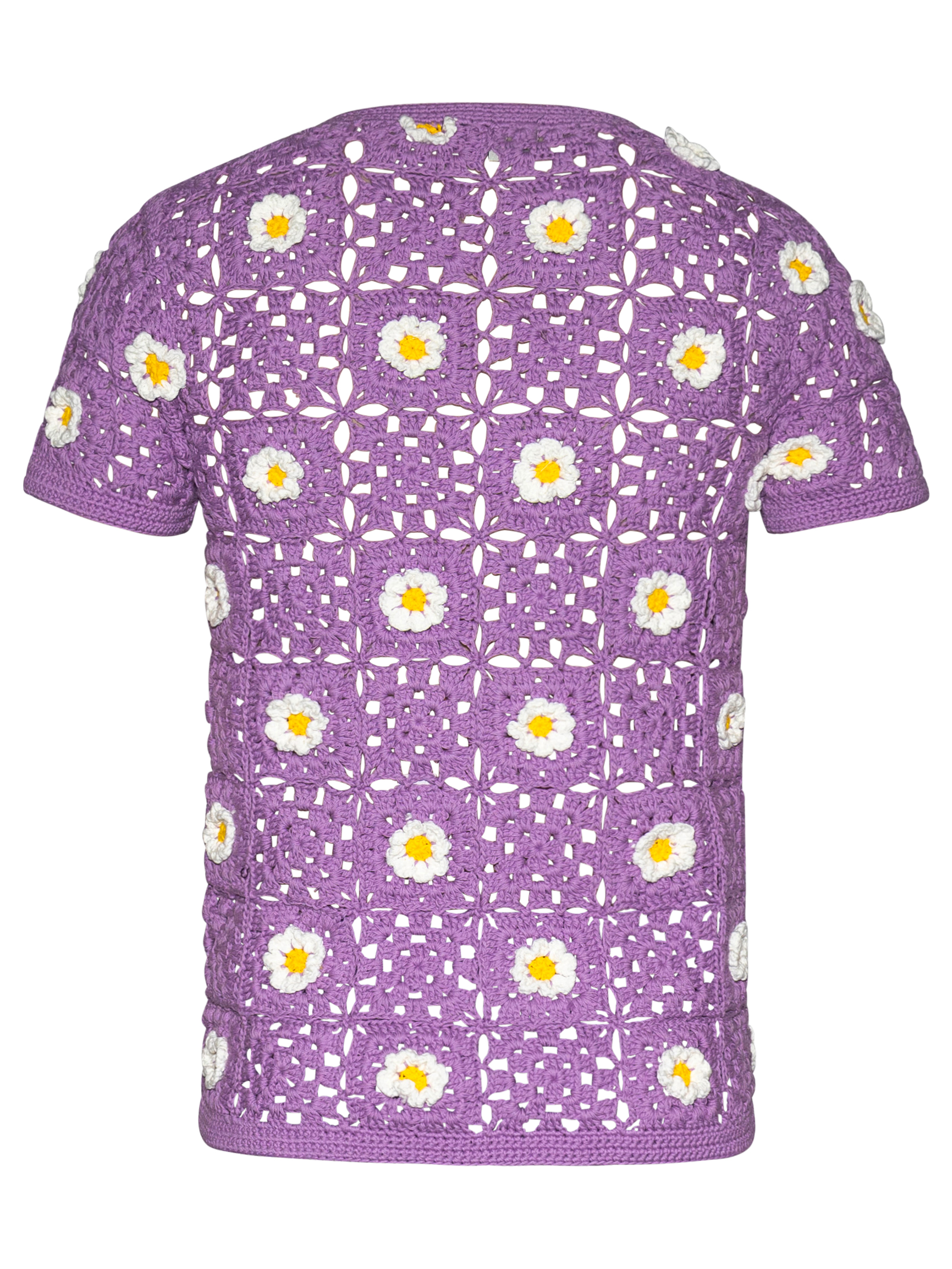 Lavender Daisy